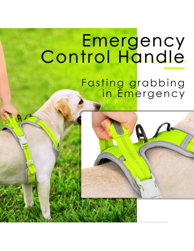 ThinkPet Arnés Deportivo Transpirable con Asa para Perros Pequeños