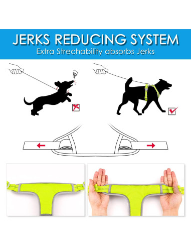 ThinkPet Arnés Deportivo Transpirable con Asa para Perros Pequeños