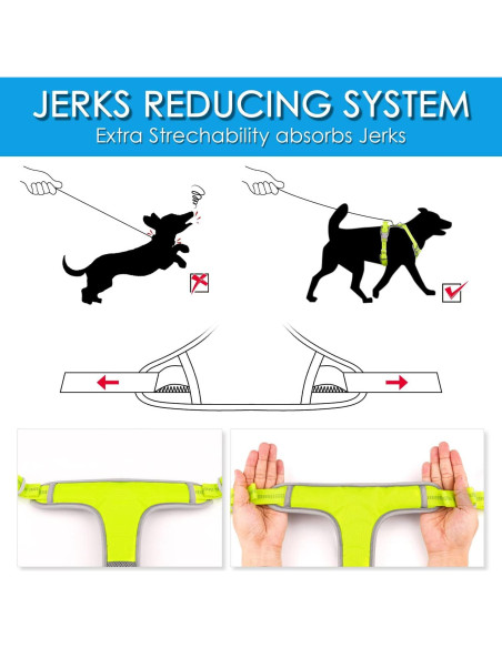 ThinkPet Arnés Deportivo Transpirable con Asa para Perros Pequeños