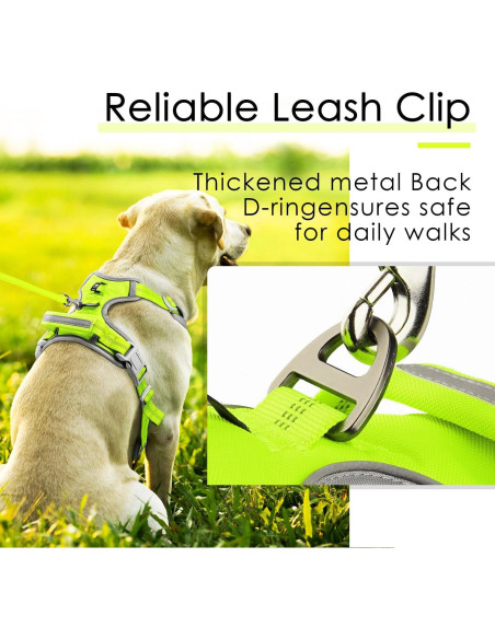 ThinkPet Arnés Deportivo Transpirable con Asa para Perros Pequeños