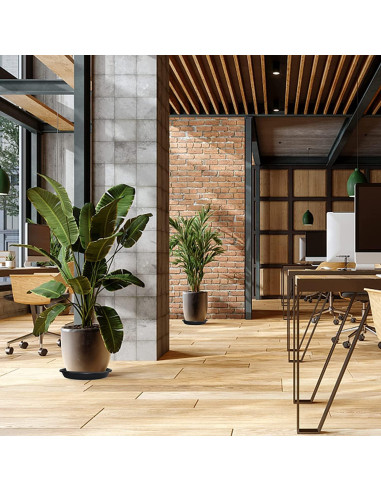 Plato de plástico Lechay para macetas 30.48 cm - Paquete de 3