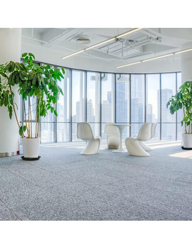 Plato de plástico Lechay para macetas 30.48 cm - Paquete de 3