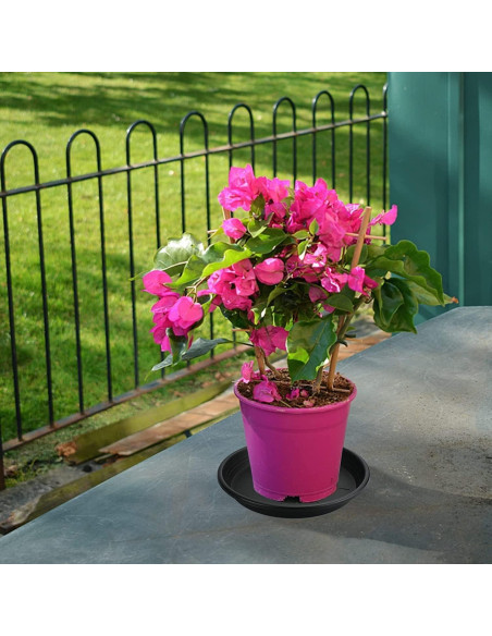 Plato de plástico Lechay para macetas 30.48 cm - Paquete de 3