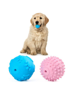 Juguetes para Perros Pequeños Bestdoggo 2 PCS Pelota y Mordedor