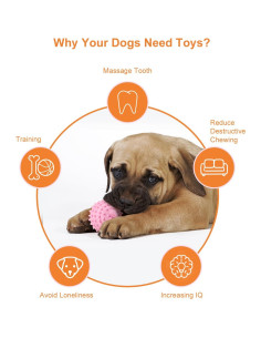 Juguetes para Perros Pequeños Bestdoggo 2 PCS Pelota y Mordedor 2