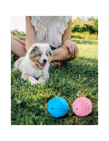 Juguetes para Perros Pequeños Bestdoggo 2 PCS Pelota y Mordedor