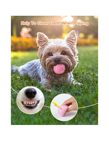 Juguetes para Perros Pequeños Bestdoggo 2 PCS Pelota y Mordedor