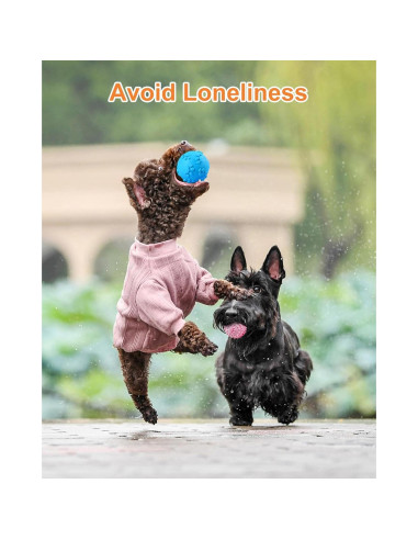 Juguetes para Perros Pequeños Bestdoggo 2 PCS Pelota y Mordedor