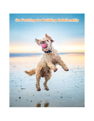 Juguetes para Perros Pequeños Bestdoggo 2 PCS Pelota y Mordedor