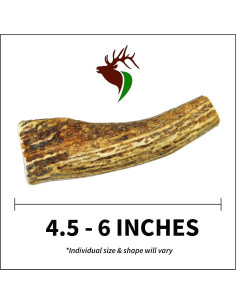 Hueso de Asta de Alce Pequeño Elkhorn 14 cm para Perros 4.5-13.6 kg 2