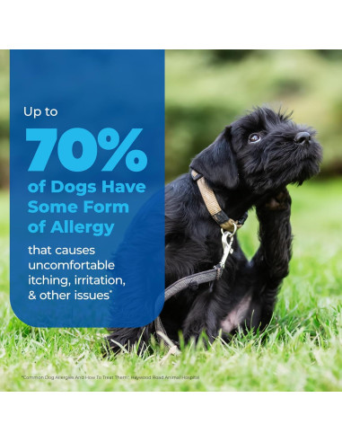 Spray Antipicazón Dermabliss Vetnique 113.4g para Perros y Gatos