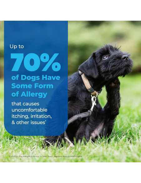 Spray Antipicazón Dermabliss Vetnique 113.4g para Perros y Gatos