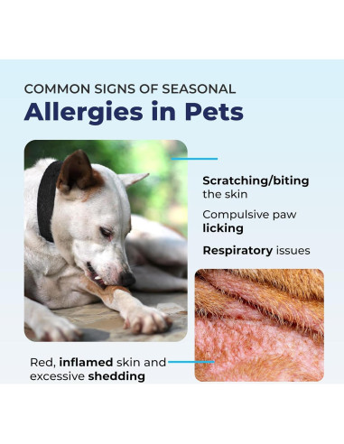 Spray Antipicazón Dermabliss Vetnique 113.4g para Perros y Gatos