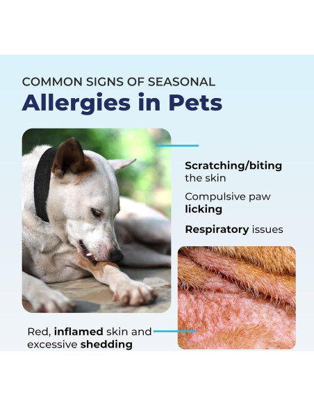 Spray Antipicazón Dermabliss Vetnique 113.4g para Perros y Gatos