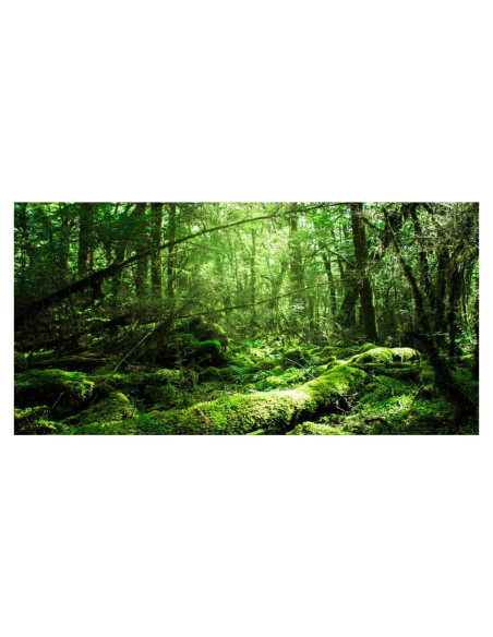 Fondo de Acuario 90x50 cm AWERT Poliester Tropical