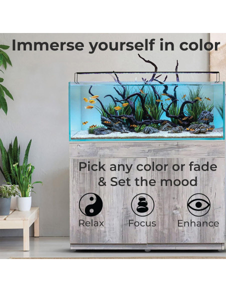 Kit de Luz LED Inteligente ColorCast para Acuarios 45.7-81.3 cm