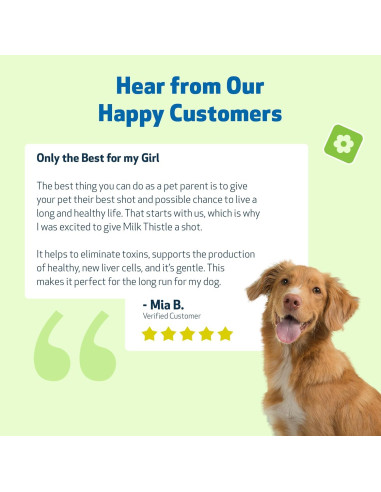 Cardo Mariano Orgánico Pet Wellbeing 2 oz - Suplemento Hepático