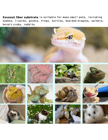 Alfombra de Coco Natural para Reptiles 35.4x15.7 cm BLSMU