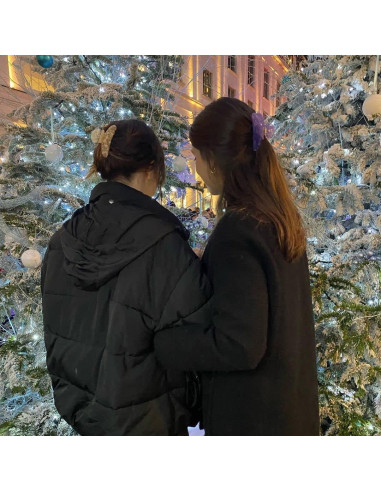 4 Clips de Acrílico para el Cabello HAIMEIKANG - Fuerte Sujeción