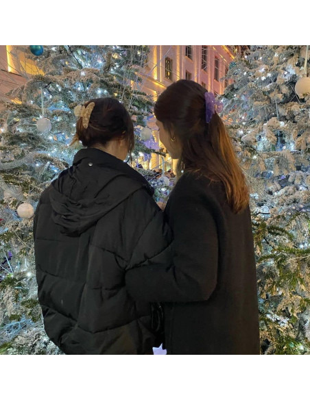 4 Clips de Acrílico para el Cabello HAIMEIKANG - Fuerte Sujeción