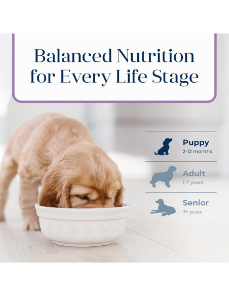 Comida Seca para Cachorros Blue Buffalo Basics Pavo y Papa 1.81 kg