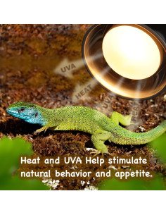 Bombillas de Calor MRREPTILE 100W para Reptiles - Paquete de 2 2