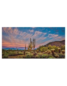 Fondo de Terrario 90x45 cm AWERT Cielo Azul Nubes
