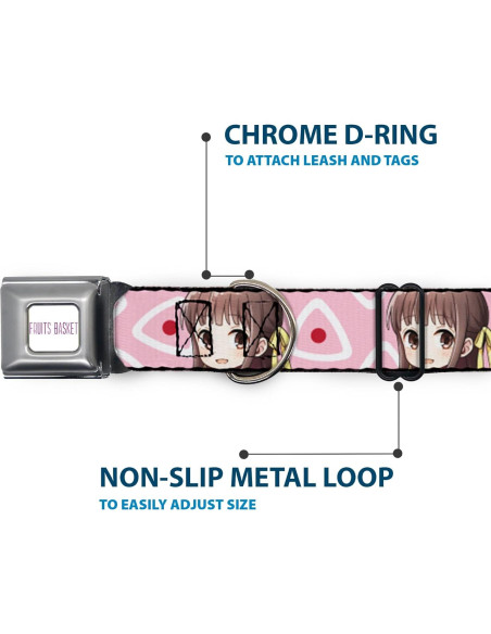Collar para Perro Crunchyroll Tohru Honda 24.1-33 cm
