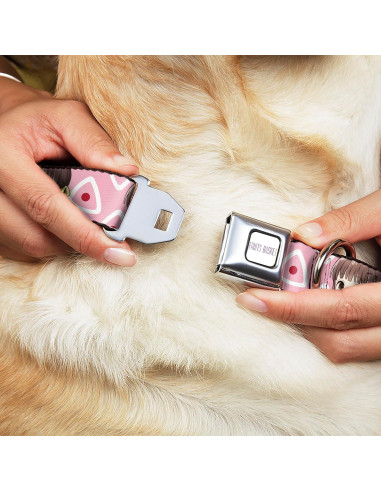 Collar para Perro Crunchyroll Tohru Honda 24.1-33 cm