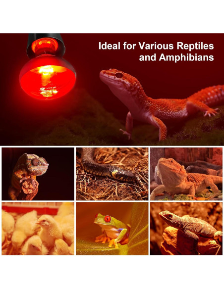 Bombillas Infrarrojas 100W MIXJOY para Reptiles - Paquete de 2