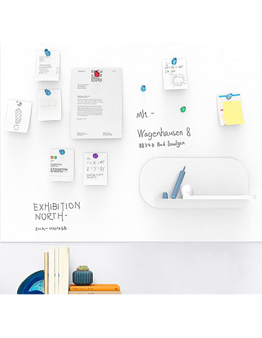 Imanes de Empuje Ant Mag 52 Piezas 11mm x 17mm Variados