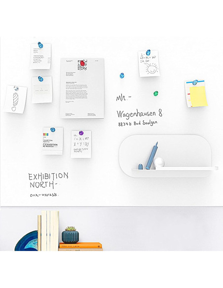 Imanes de Empuje Ant Mag 52 Piezas 11mm x 17mm Variados