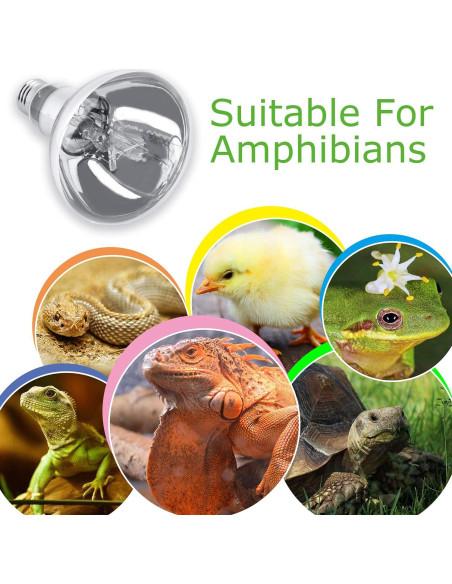 Bombilla de Calor para Reptiles MIXJOY 160W UVA UVB 11.5cm