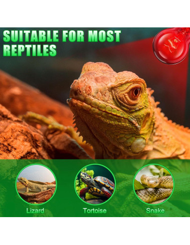8 Bombillas de Calor Infrarrojo 100W Kittmip para Reptiles