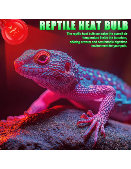 8 Bombillas de Calor Infrarrojo 100W Kittmip para Reptiles