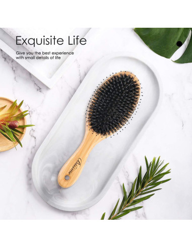 Juego de Cepillos de Cabello Bsisme con Cerda de Jabalí