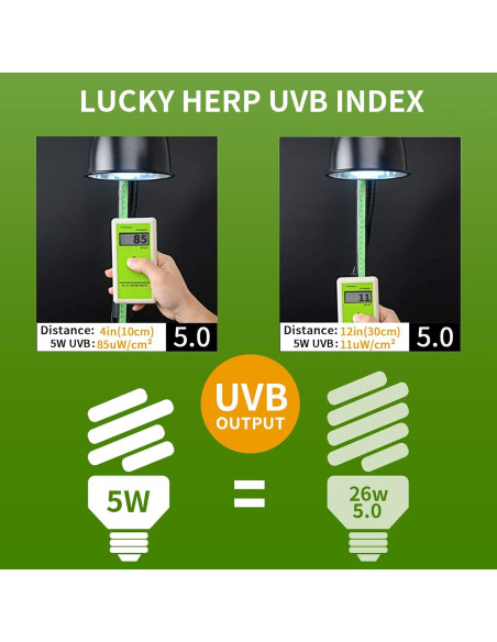 LUCKY HERP Mini Luz UVB 5.0 5W para Reptiles Tropicales