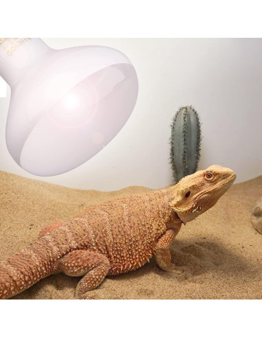 Bombilla de Calor para Reptiles AIICIOO 100W UVA Luz Diurna