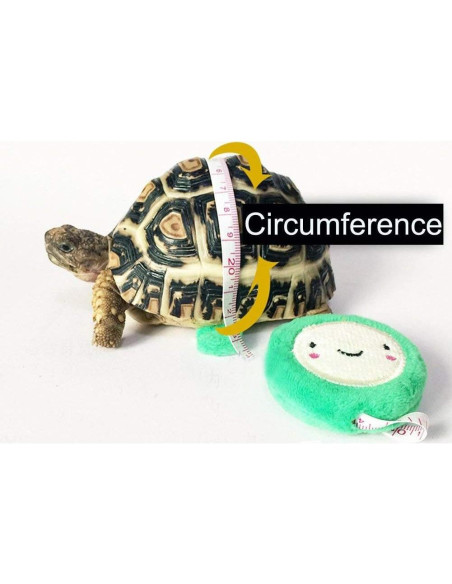 Correa Arnés para Tortuga Vehomy Amarillo 120cm S