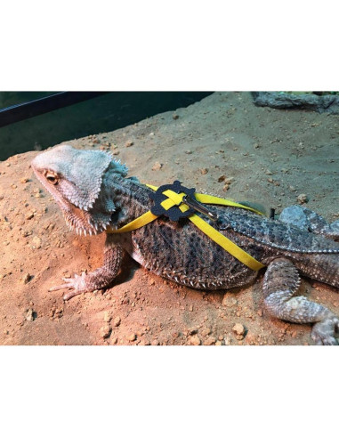 Correa Arnés para Tortuga Vehomy Amarillo 120cm S