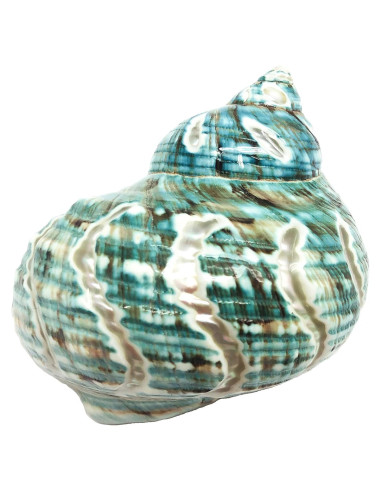 Concha Turbo Espiral de Jade PEPPERLONELY 8.9-10.2 cm