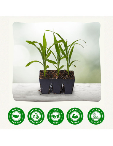 Bandeja de Inicio de Semillas Epic Gardening - 6 Celdas Reutilizables