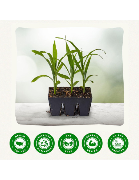 Bandeja de Inicio de Semillas Epic Gardening - 6 Celdas Reutilizables