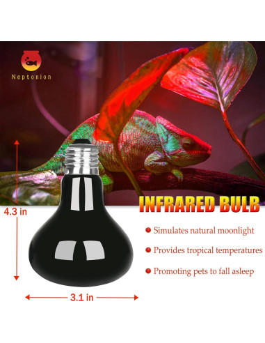 Lámpara de Calor Infrarroja 75W NEPTONION para Reptiles