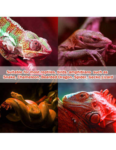 Lámpara de Calor Infrarroja 75W NEPTONION para Reptiles