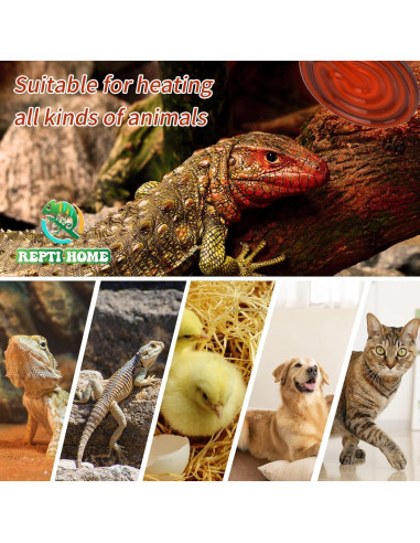 Emisor de Calor Cerámico 50W REPTI HOME - Paquete de 2