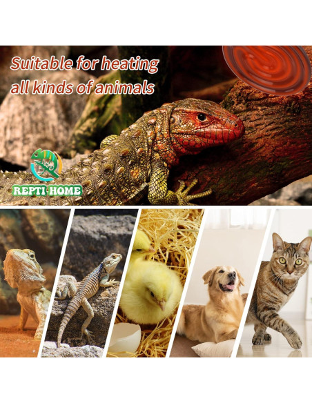 Emisor de Calor Cerámico 50W REPTI HOME - Paquete de 2