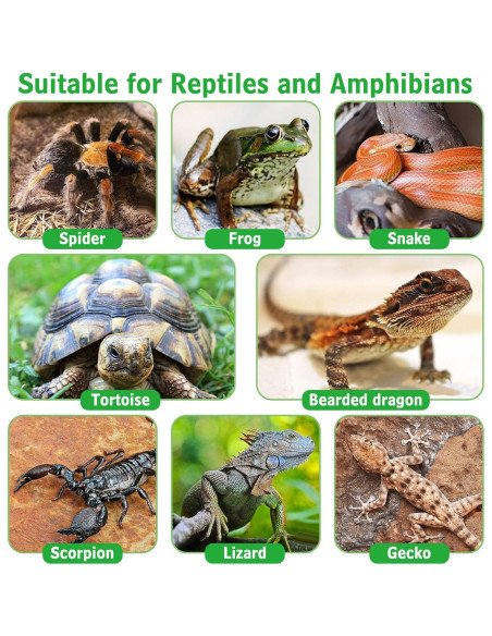 Soporte de Lámpara de Calor para Reptiles Kathson E26 Cerámica