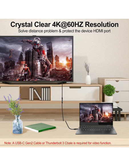 Cable de Extensión USB C 3.2 100W 1FT 4K 60Hz Thsucords