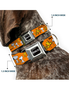 Collar para Perro Peanuts Buckle-Down 24.1-33 cm Naranja 2